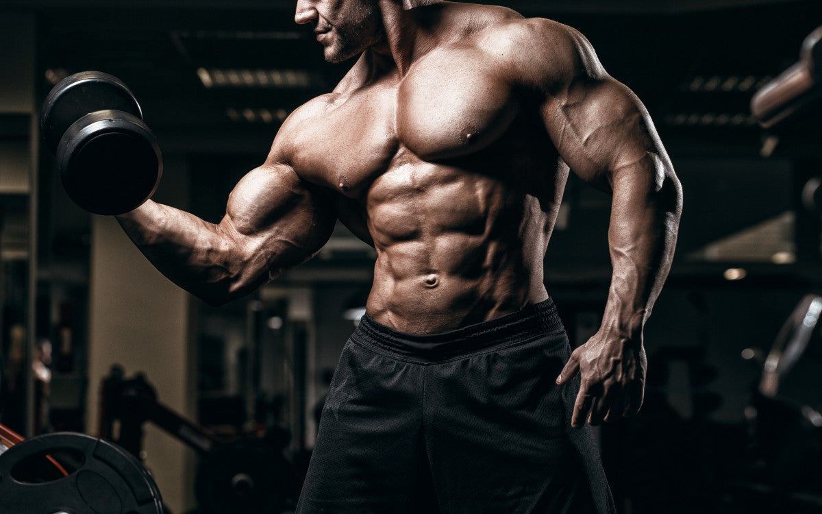 Master Your Bodybuilding Poses: A Guide to Perfect Form