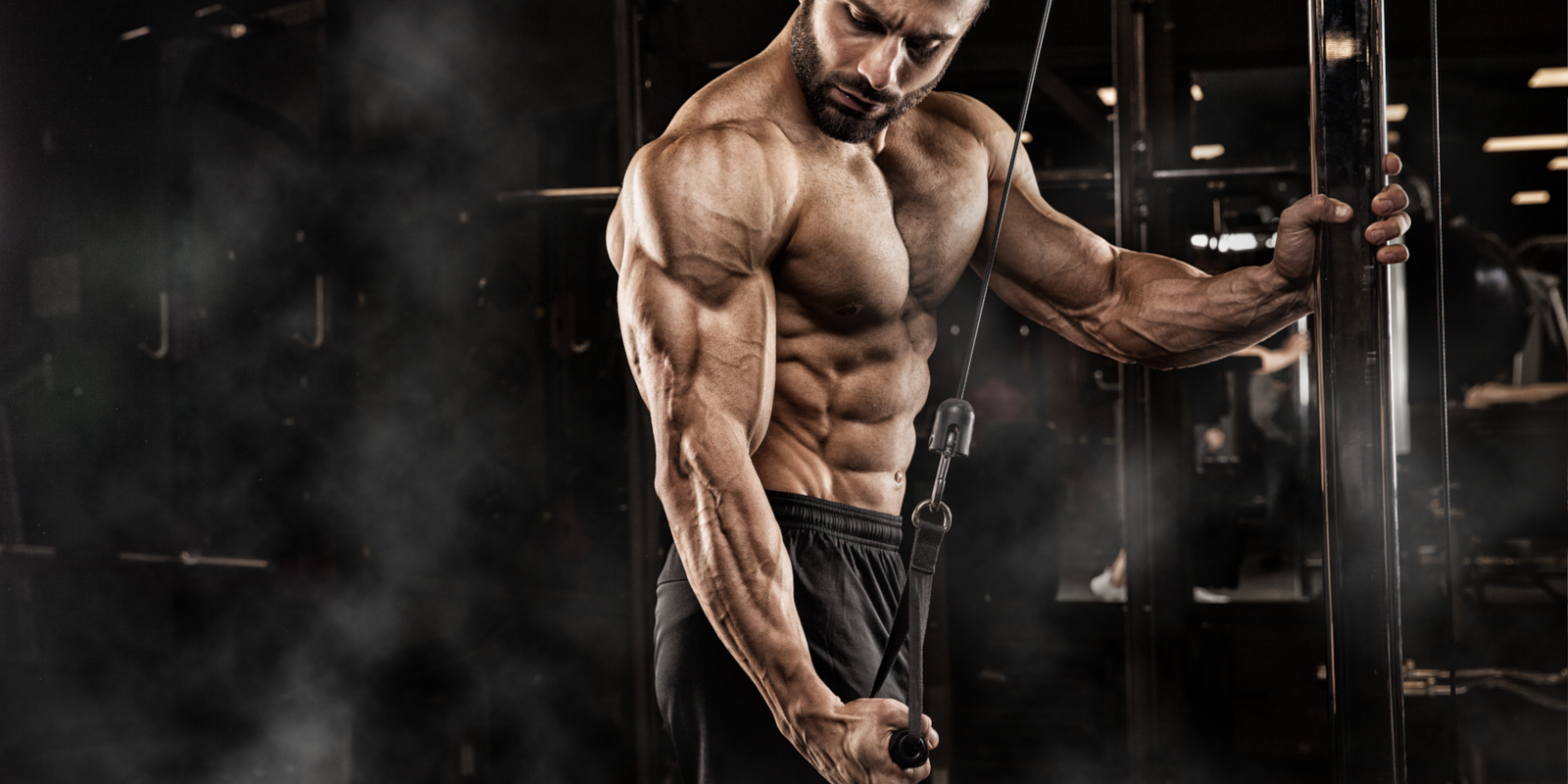 The Best Triceps Workouts