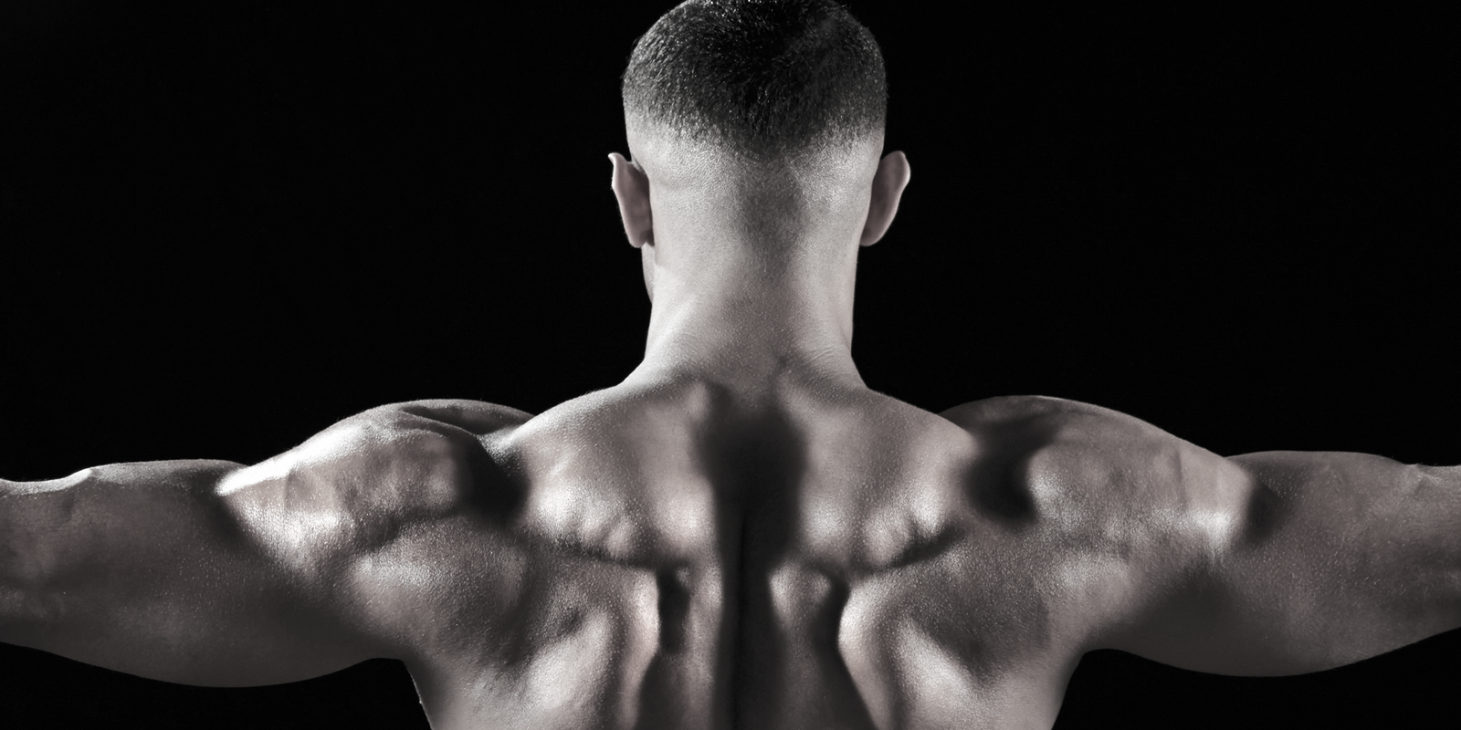 The ultimate guide to building bigger traps